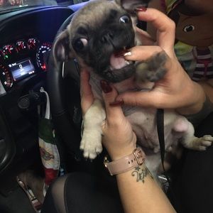 Meet your Posher, Audrey